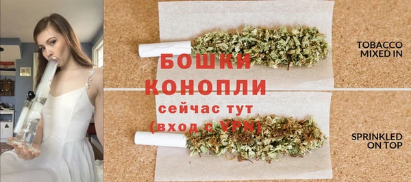 винт Мегион