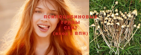 винт Мегион