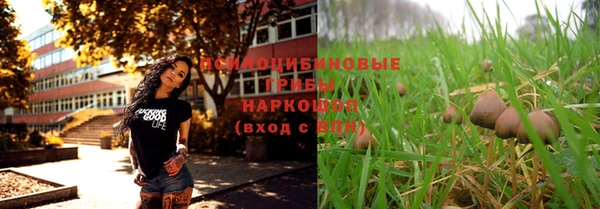 винт Мегион