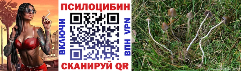 Псилоцибиновые грибы Magic Shrooms  цена   Певек 